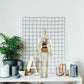 3D Human Body Torso Model for Kid Anatomy Model Skeleton